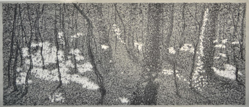Licht im Wald II, 2005, Farblithographie, 16,1 x 31,7 cm