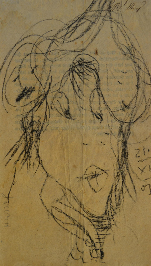 006 o. T. ( Kopf ), 2007, Kreideaufaltem Papier, 35 x 20,5 cm