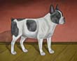 Franzoesische Bulldogge, 2021, Oel auf Malplatte, 40 x 50 cm (2)
